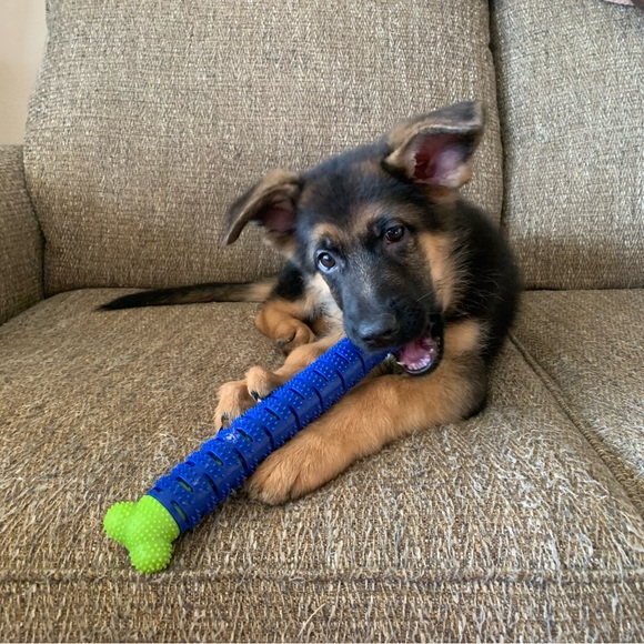 Meet your Posher, Rachel - Picture 13 of 15